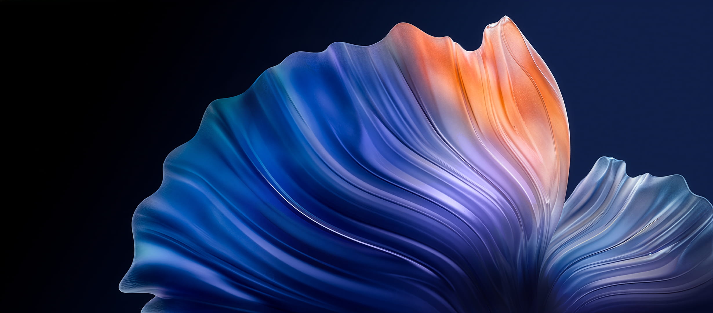 Demo Image